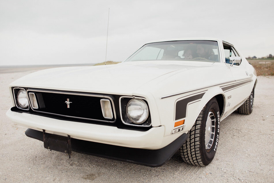 ford mustang 302 creme