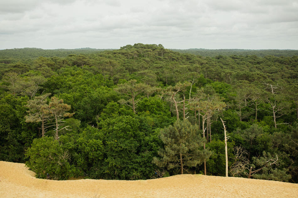 Séance fiançailles à la dune du Pilat