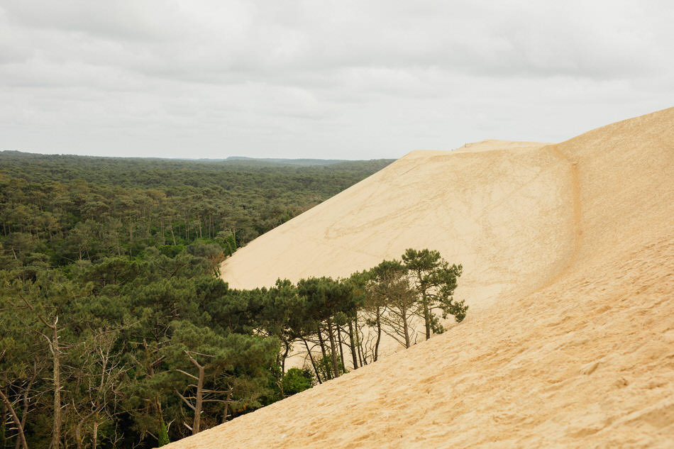 Séance fiançailles à la dune du Pilat