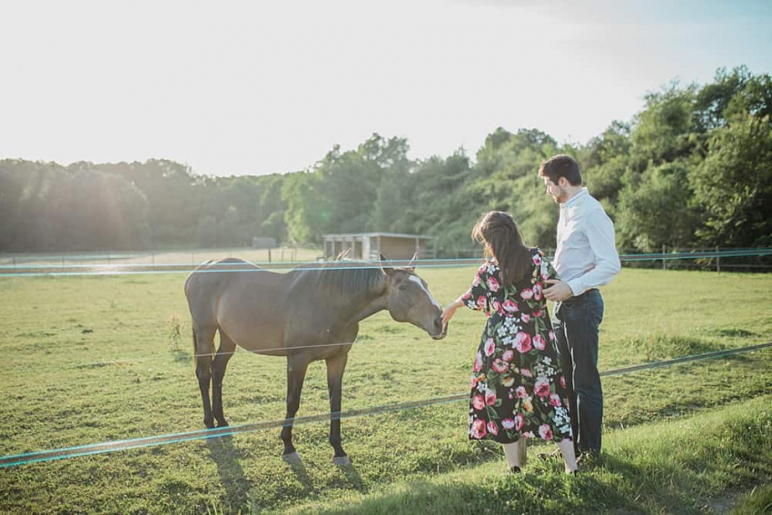 Un cheval profite de la séance photo