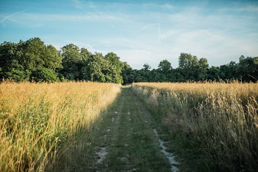 Le passage à travers le blé