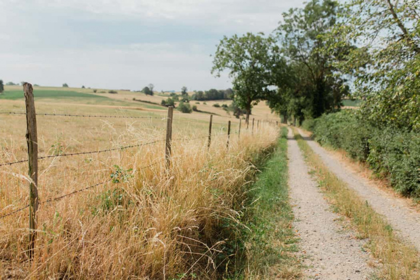 la campagne lyonnaise